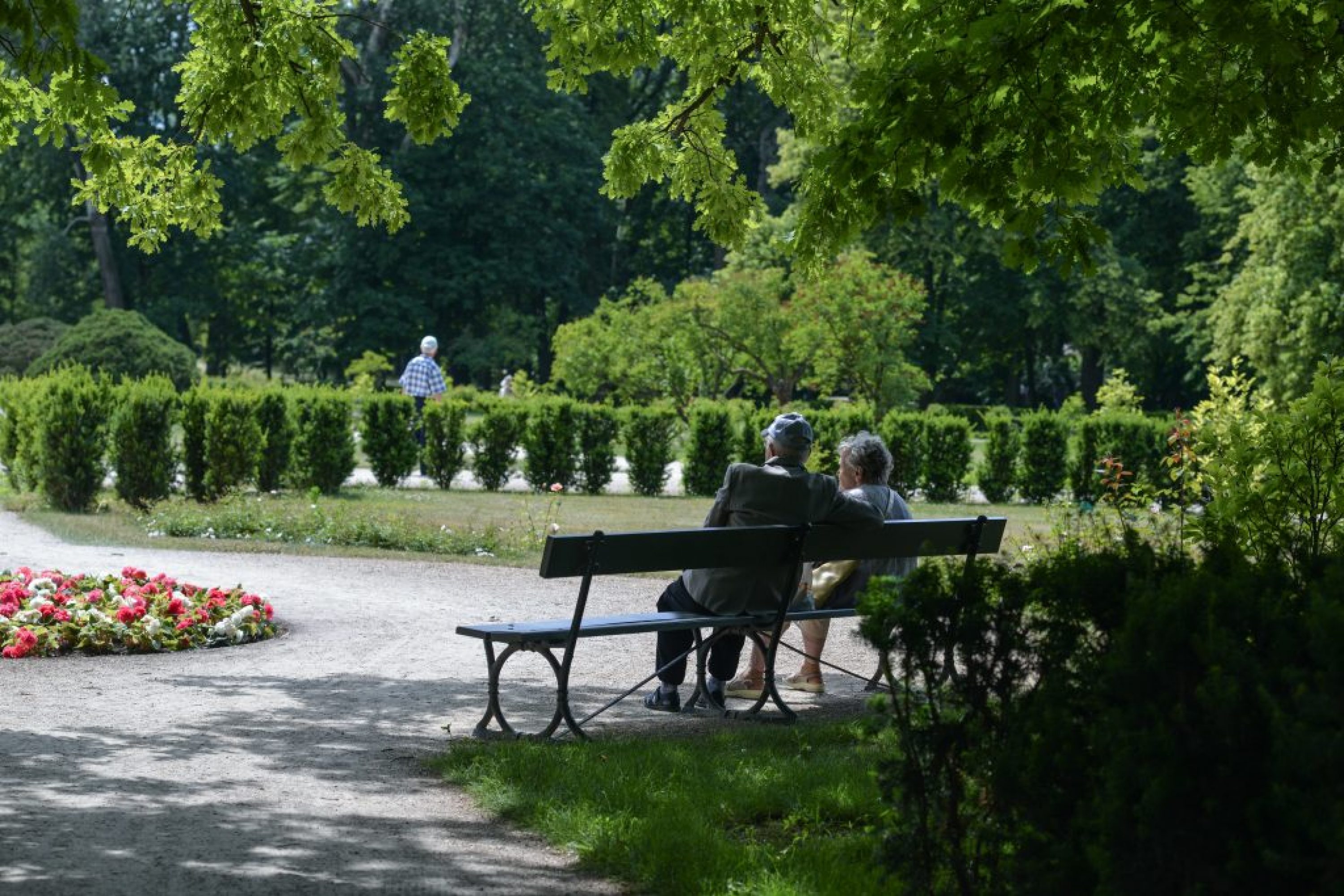 Les vieux dans les parcs