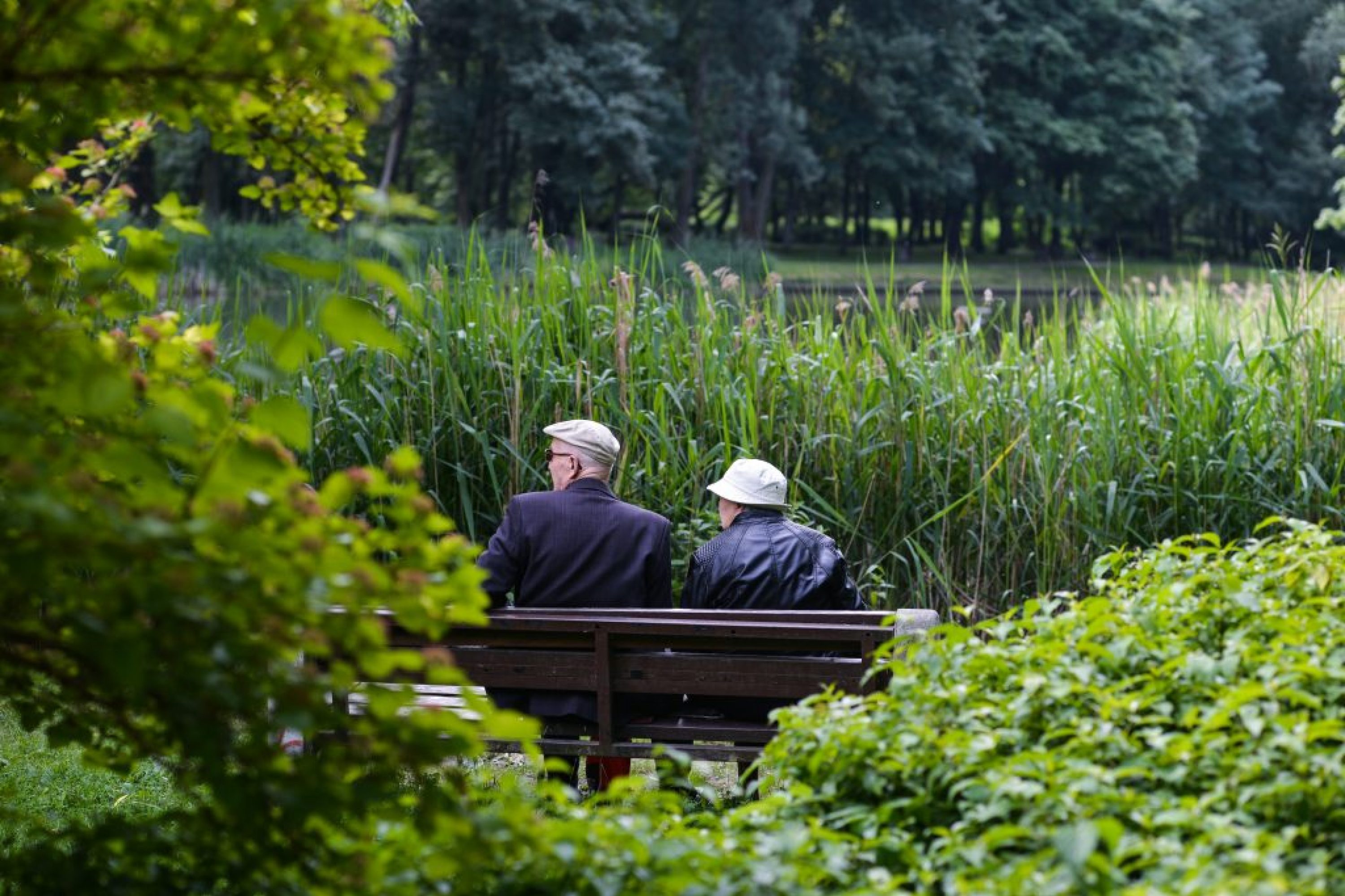 Les vieux dans les parcs