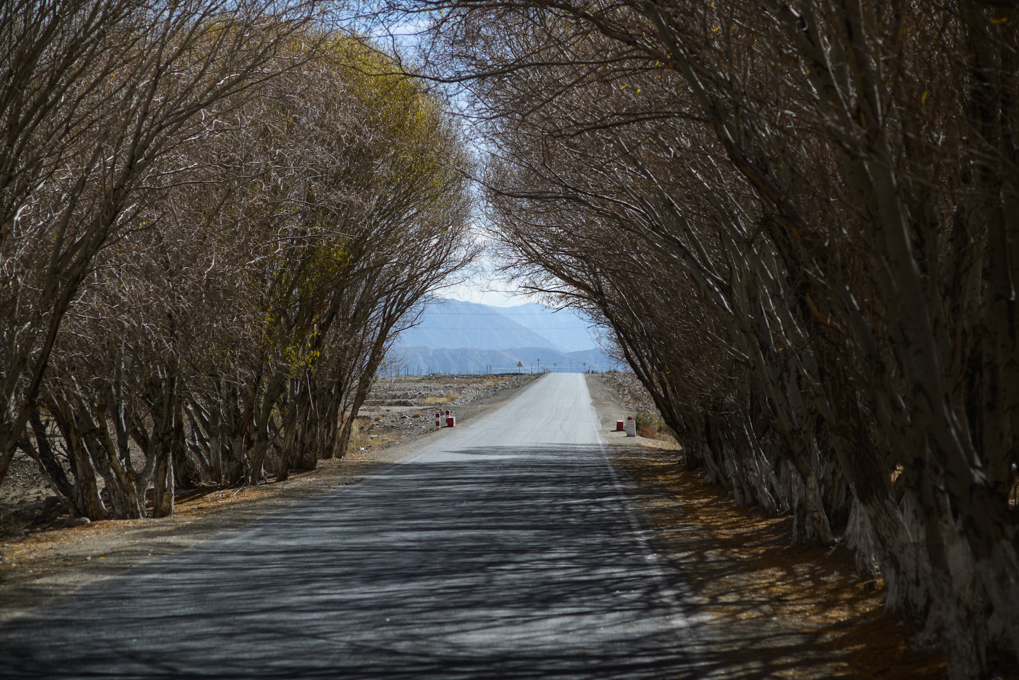 Sur la route du Karakoroum