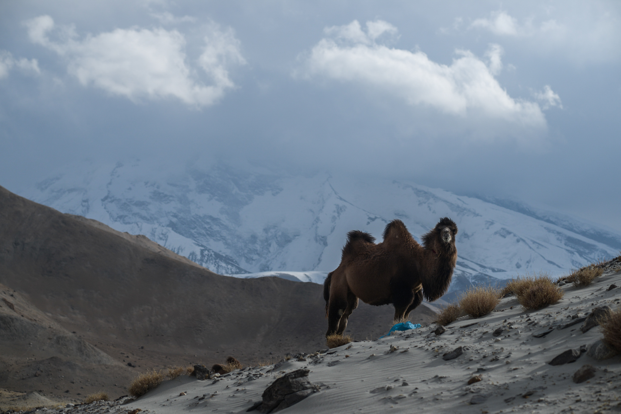 Sur la route du Karakoroum