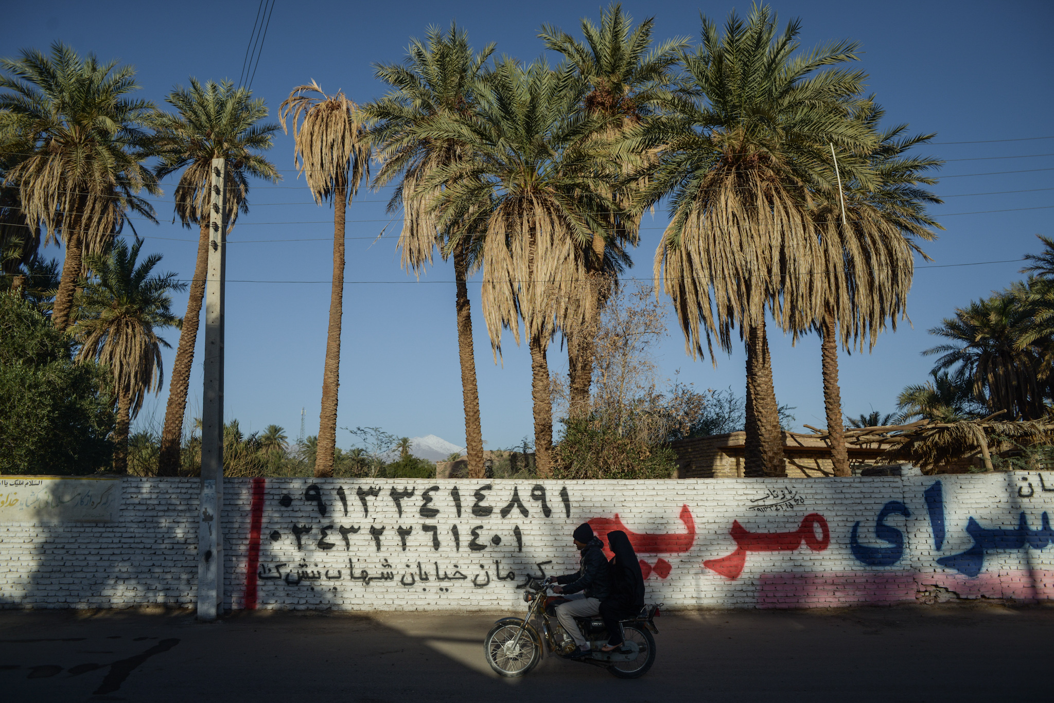 Amir au pays des merveilles