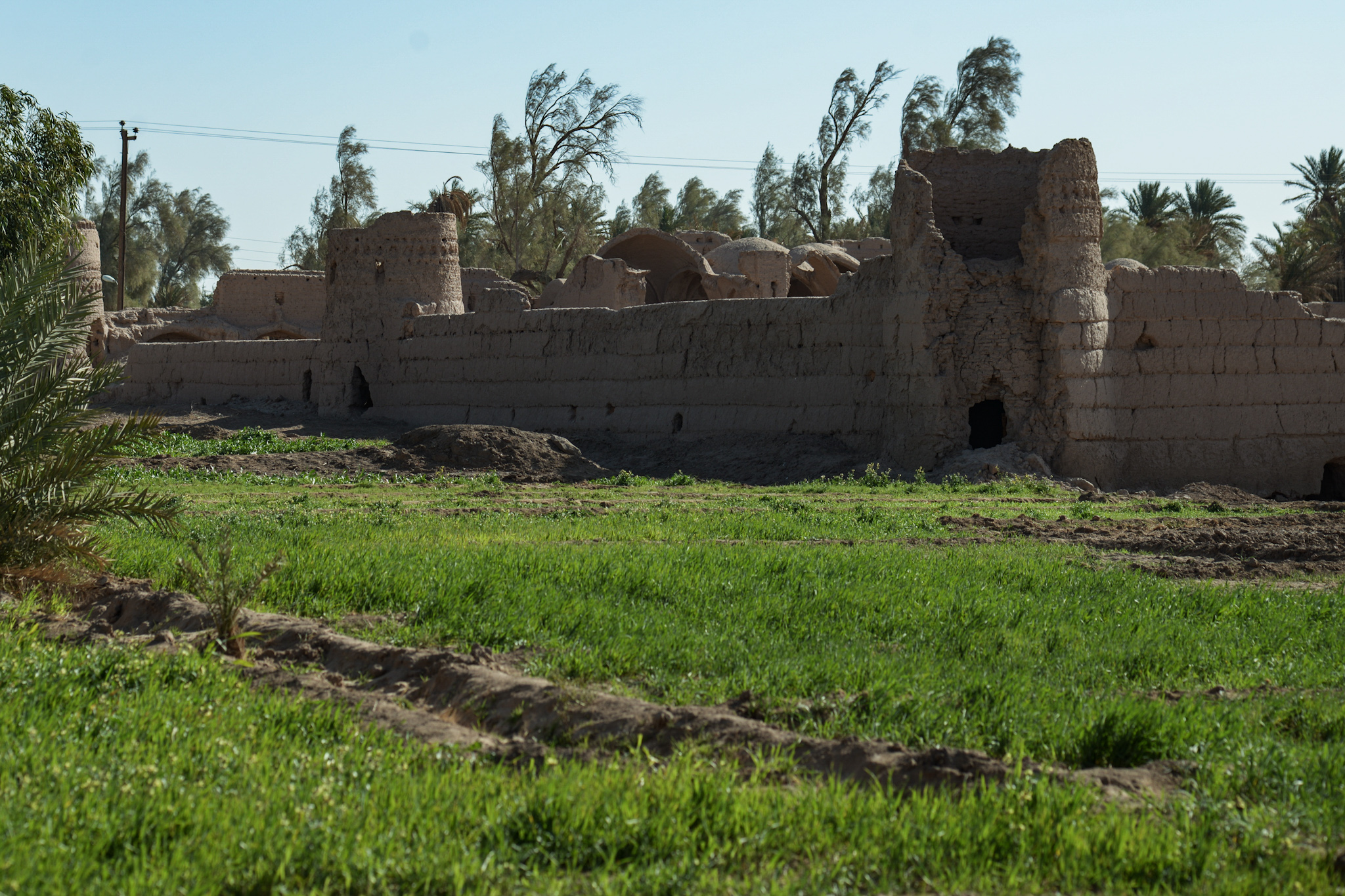 Amir au pays des merveilles