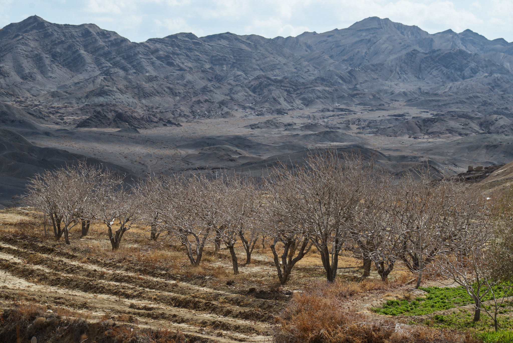 Yazd!